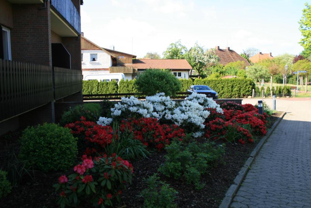 Hotel Seeblick Garni Gartow Exterior photo