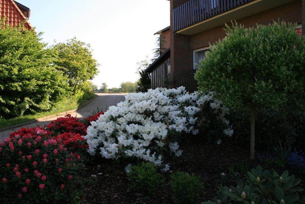 Hotel Seeblick Garni Gartow Exterior photo